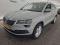 preview Skoda Karoq #0