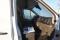 preview Ford Transit #3