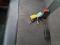 preview Opel Vivaro #3
