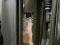 preview Volvo XC40 #5