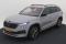 preview Skoda Kodiaq #0