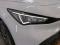preview Cupra Born #3