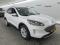 preview Ford Kuga #1