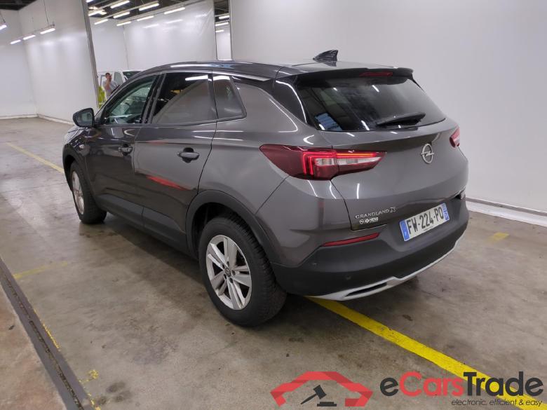 Grandland X Elegance Business 1.5 130CV BVA8 E6d #3