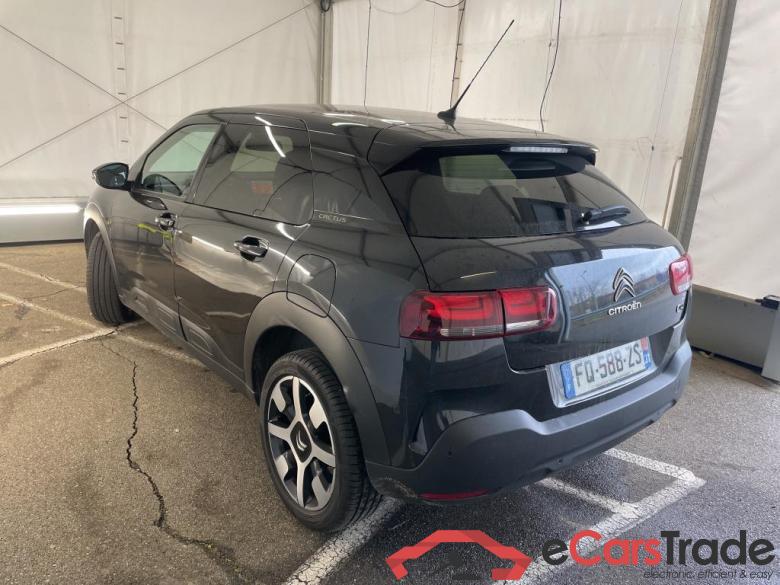 C4 Cactus Shine Business 1.2 PureTech 110CV BVM6 E6d #2