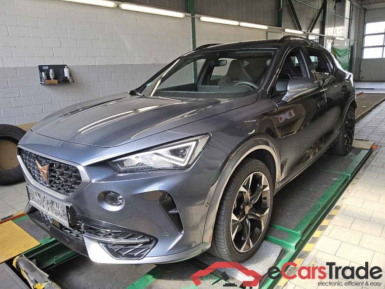 Cupra Formentor (KM7)(08.2020->) DE - SUV5 2.0 TSI EU6d, VZ 4 Drive, 2020 - 2024