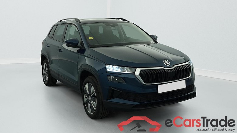 Skoda Karoq 2.0 TDI 116 ch SCR Business #1