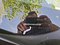 preview Skoda Enyaq #1