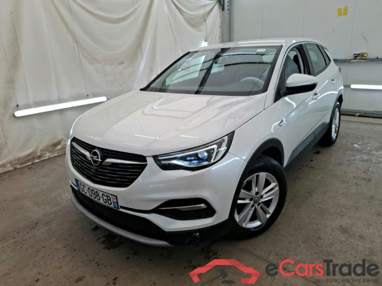 Grandland X Elegance Business 1.5 130CV BVA8 E6d #1