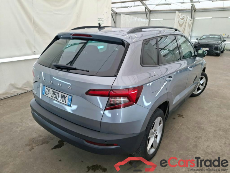 Karoq Business 2.0 TDI 115CV BVA7 E6d #3