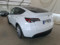 preview Tesla Model Y #2