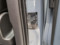 preview Volvo XC40 #4