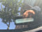 preview Audi A3 #1