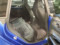 preview BMW i4 #4